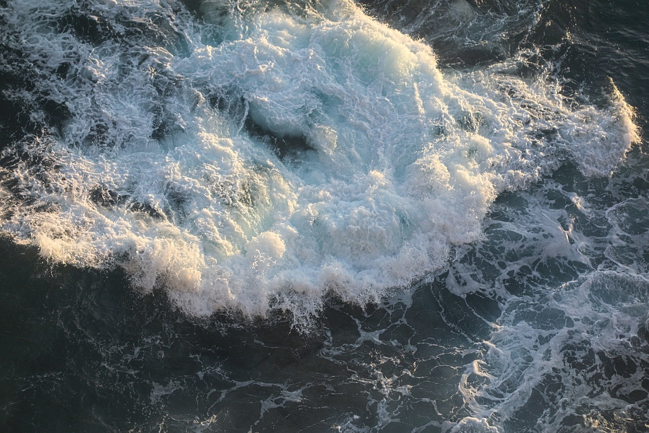 Ontology: Exploring the Different Levels of Reality